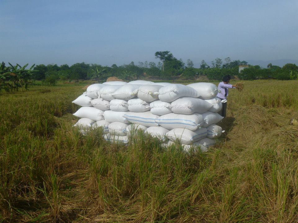 462535300_26947217754922474_4972461365739215632_n