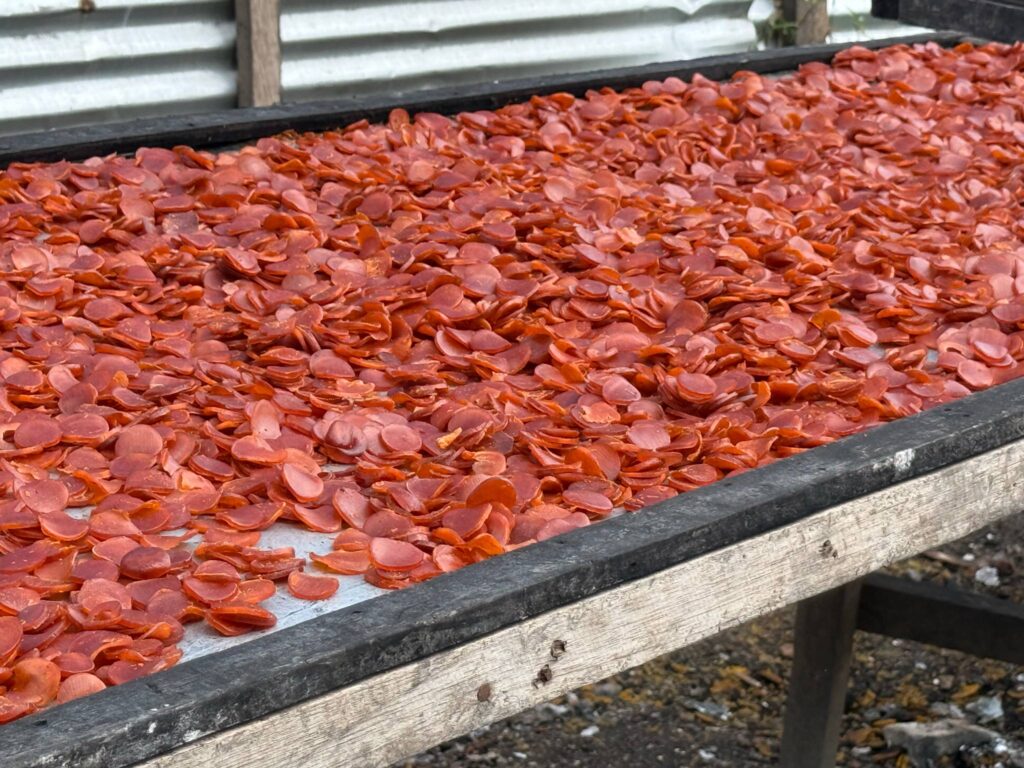 9113bfaf-9929-48aa-bf1b-1d1e0c371989